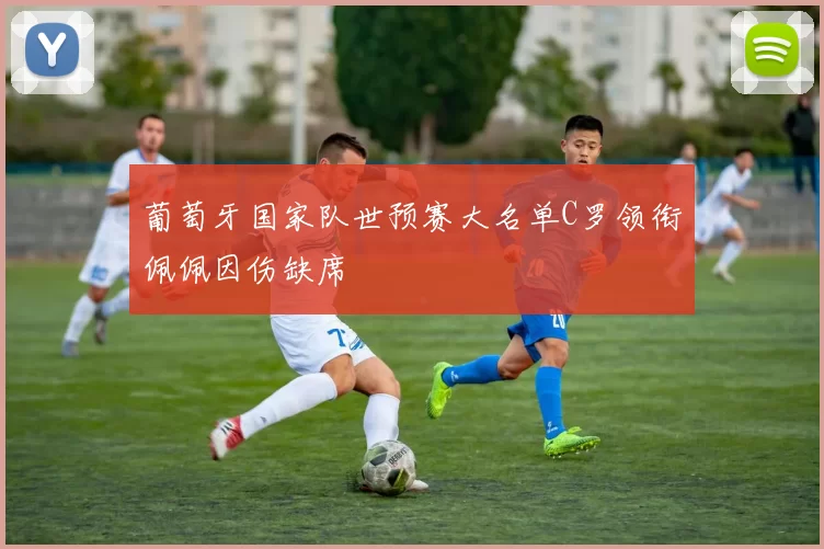 葡萄牙国家队世预赛大名单C罗领衔佩佩因伤缺席