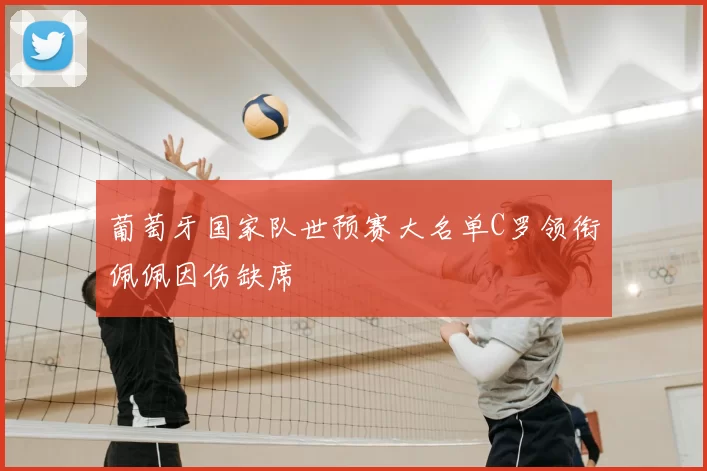 葡萄牙国家队世预赛大名单C罗领衔佩佩因伤缺席